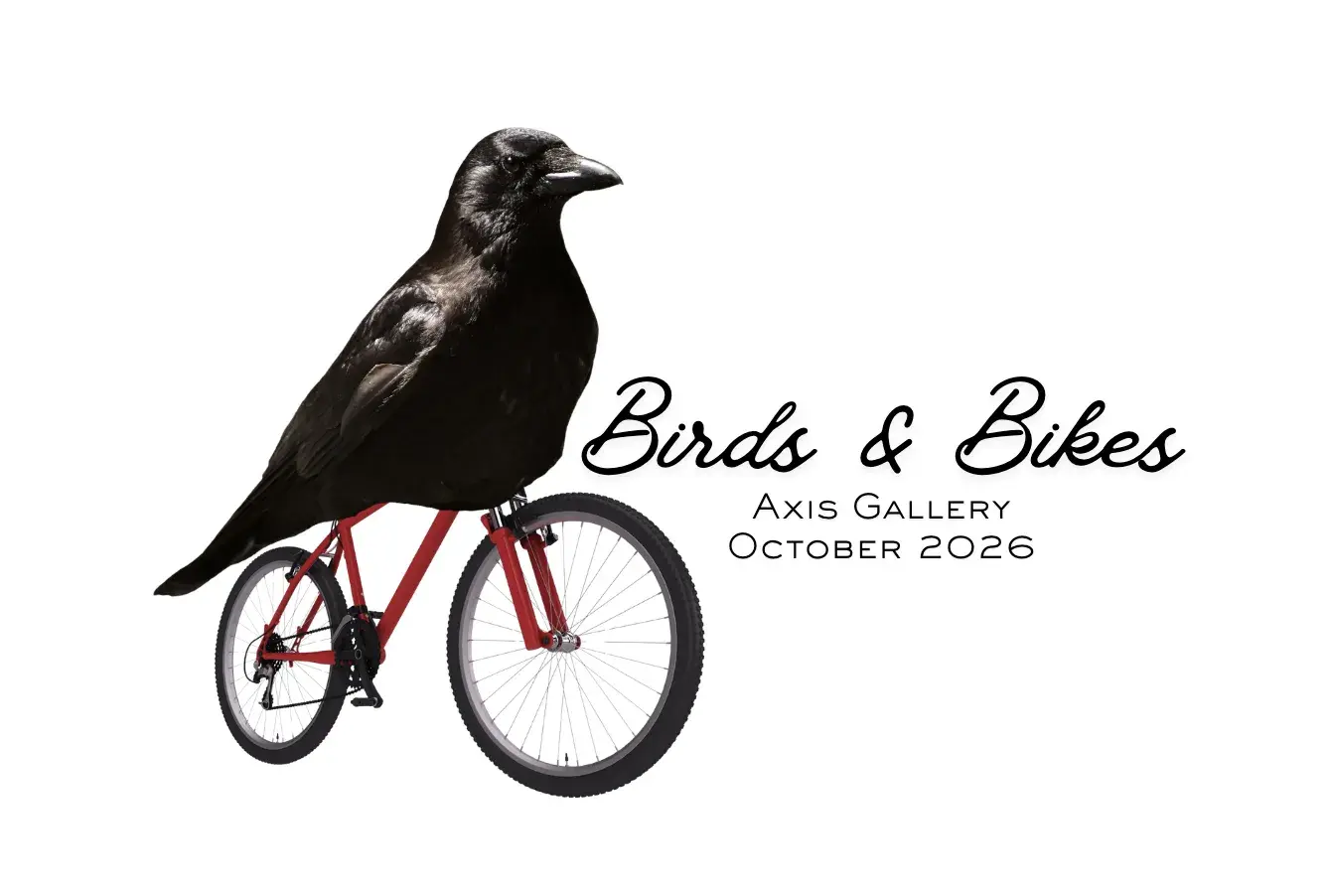 Birds and Bikes