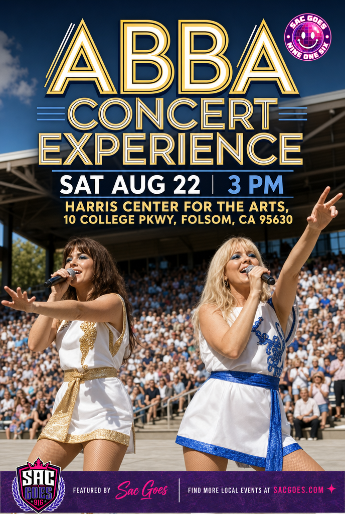 ABBA Concert Experience