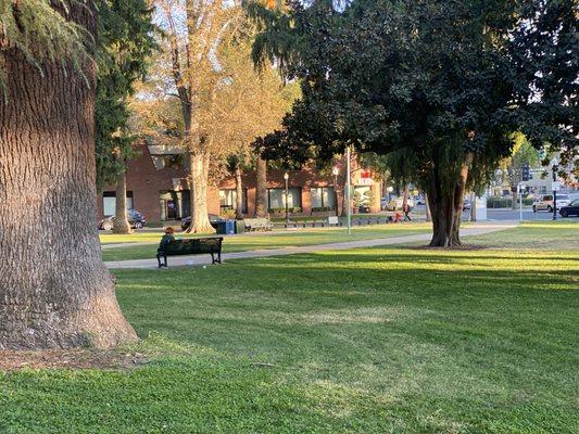 Pilates at Marshall Park