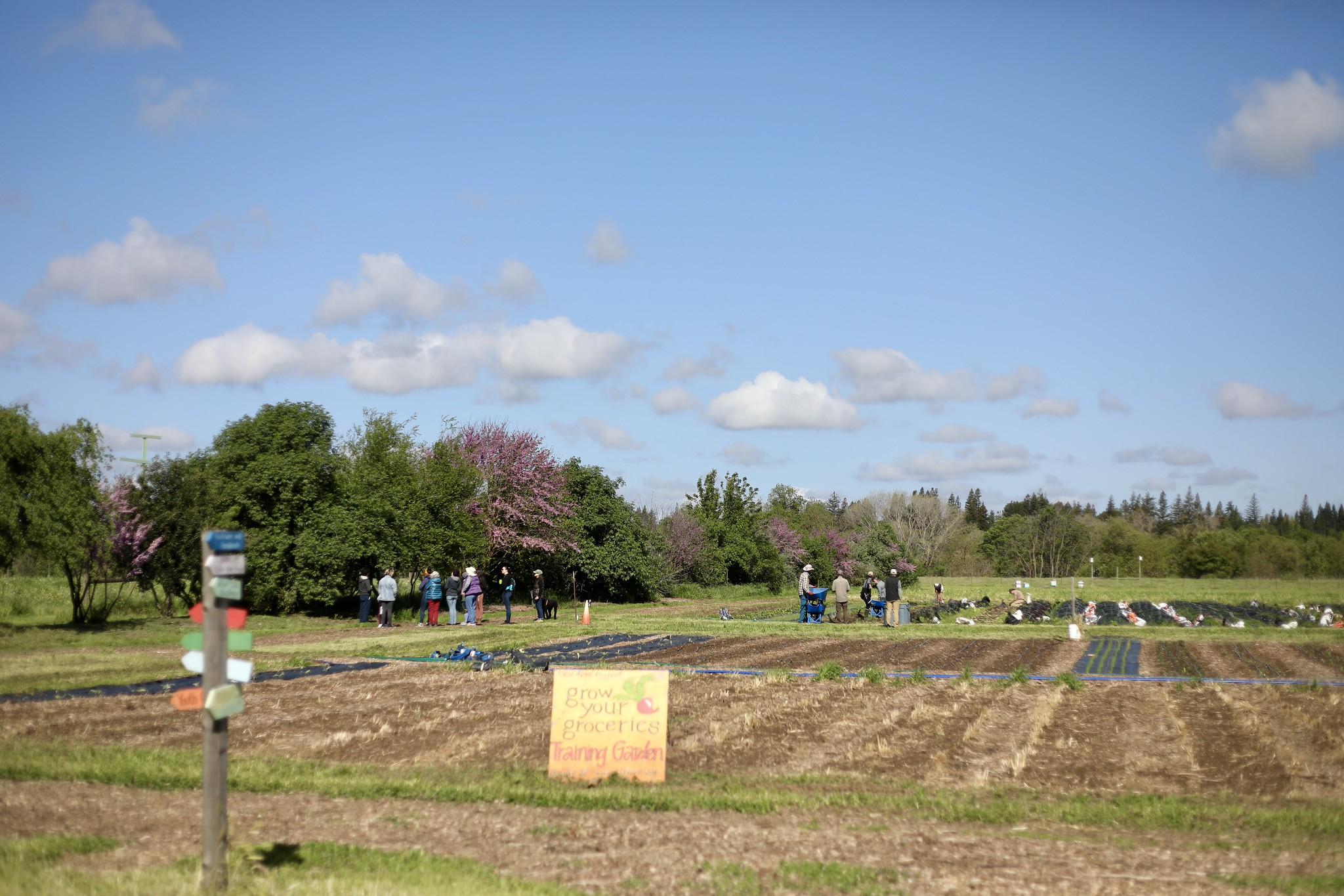 Regenerative Agriculture Farm Tour