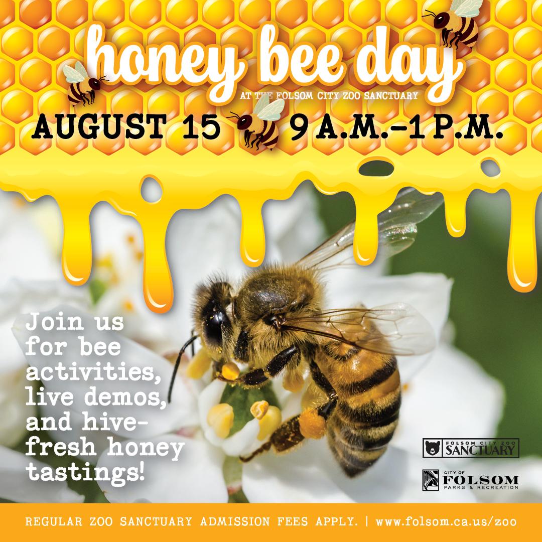 Honey Bee Day