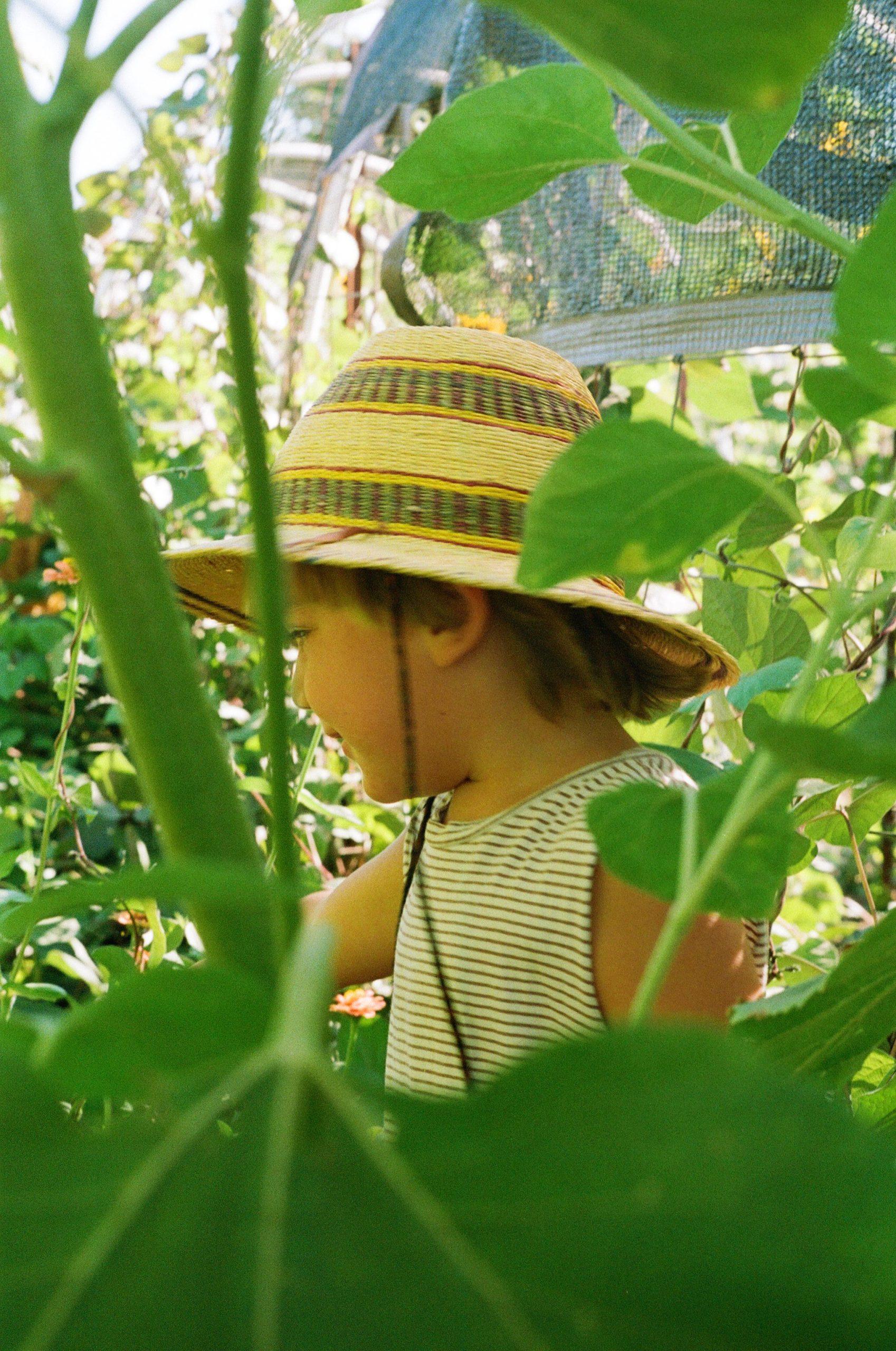Li’l Sprouts: 5 B’s of Pollination
