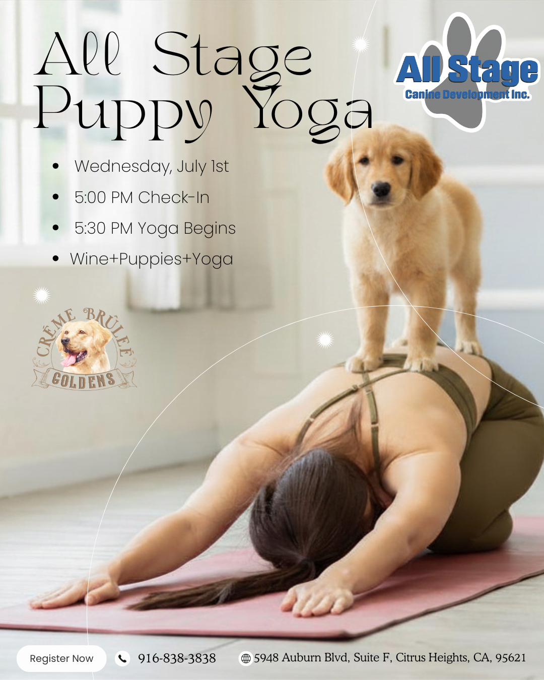 Puppy Yoga + Wine