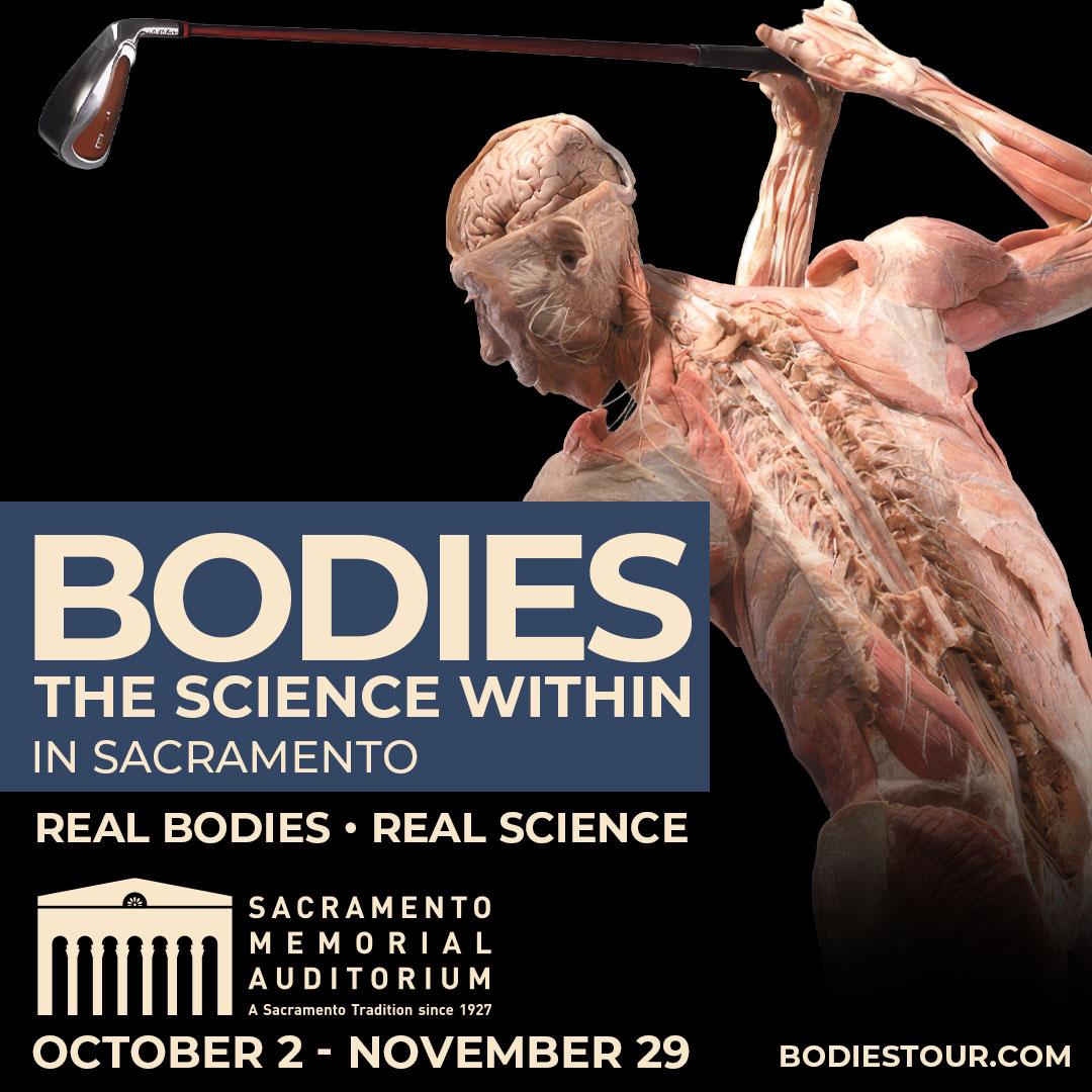 Bodies The Science Within