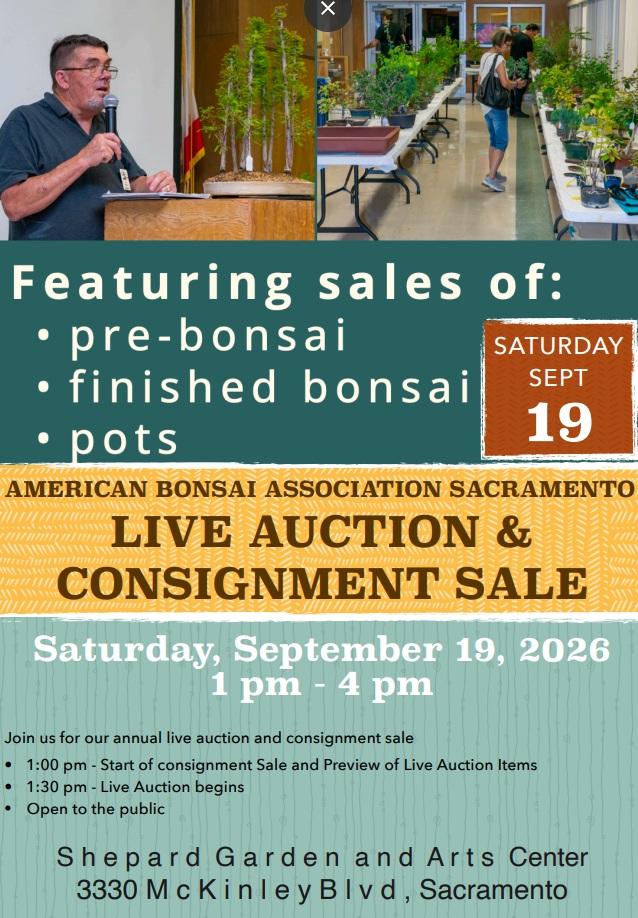 Live Bonsai Auction and Consignment Sale