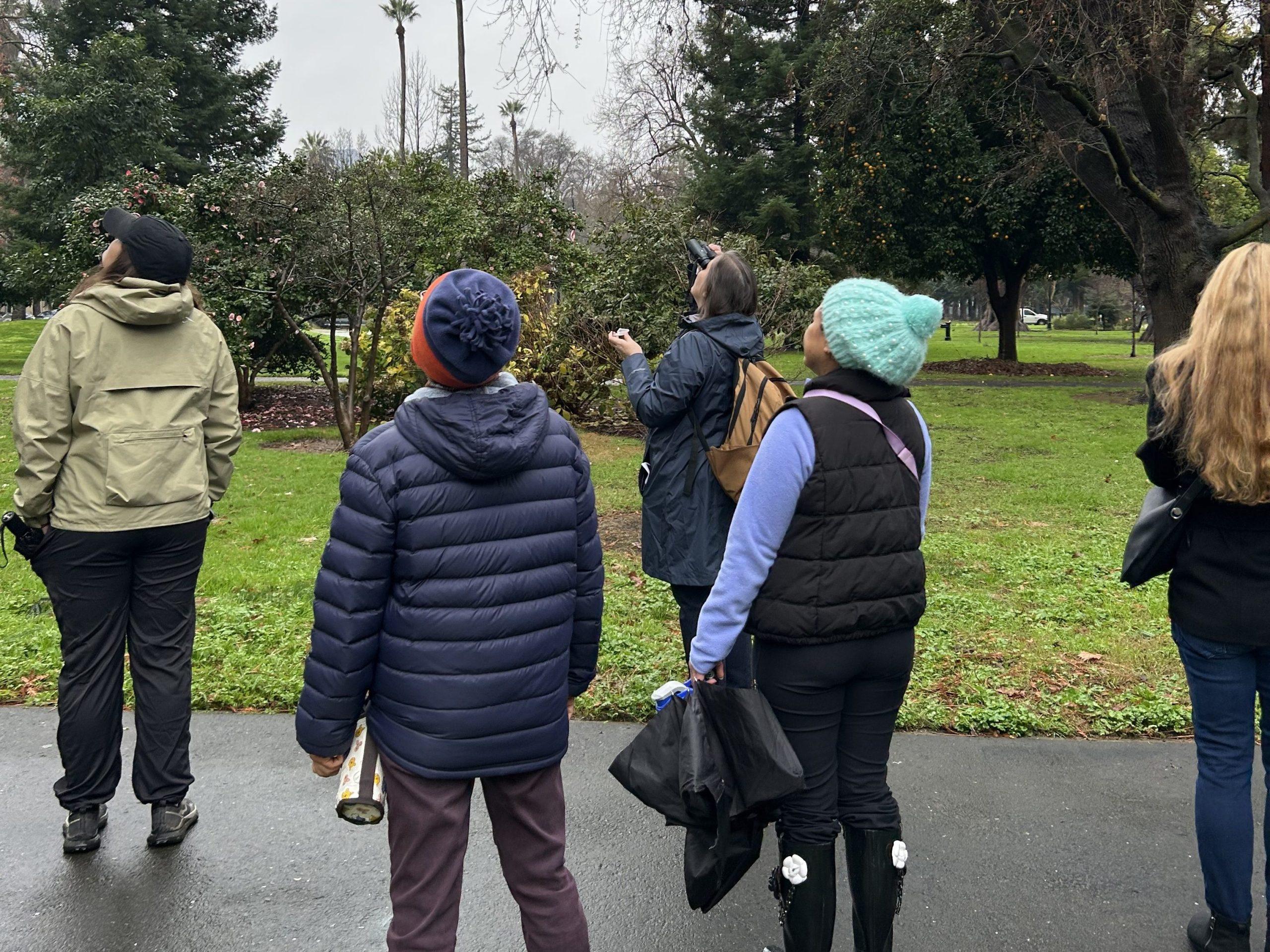 Capitol Park Bird Talk and Walk