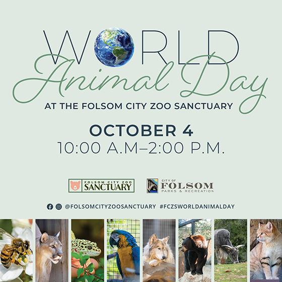 World Animal Day at the Folsom City Zoo Sanctuary